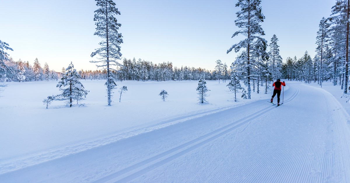 Vinterläger seniorer SIK Skidor 2022