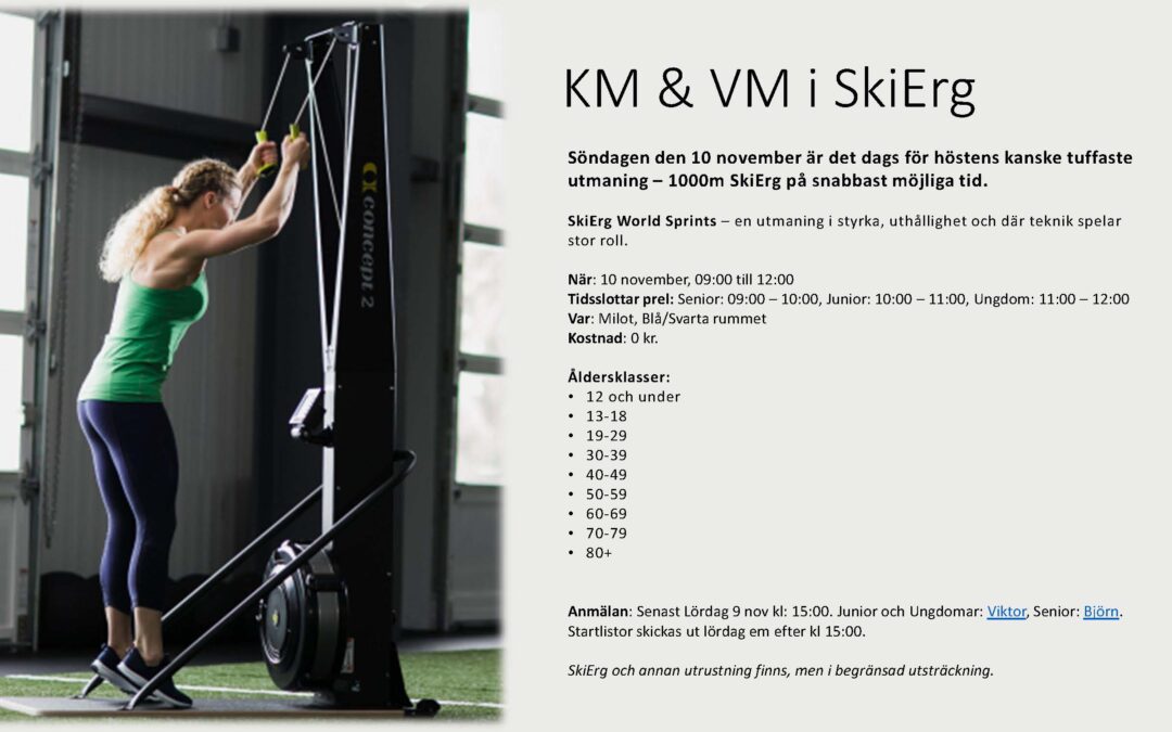 KM & VM i SkiErg 10 november